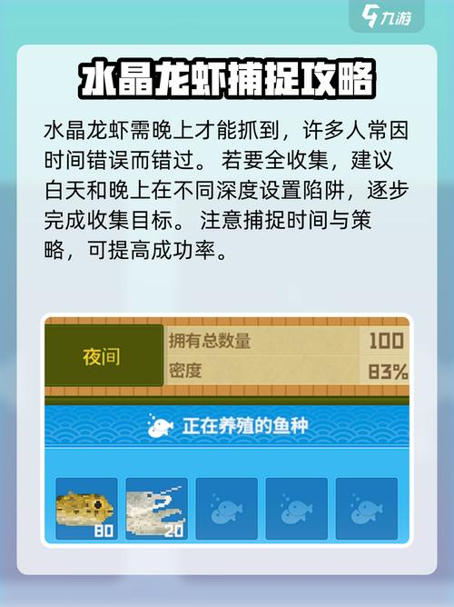 潜水员戴夫龙虾怎么抓?从地点、工具到诱饵的全攻略